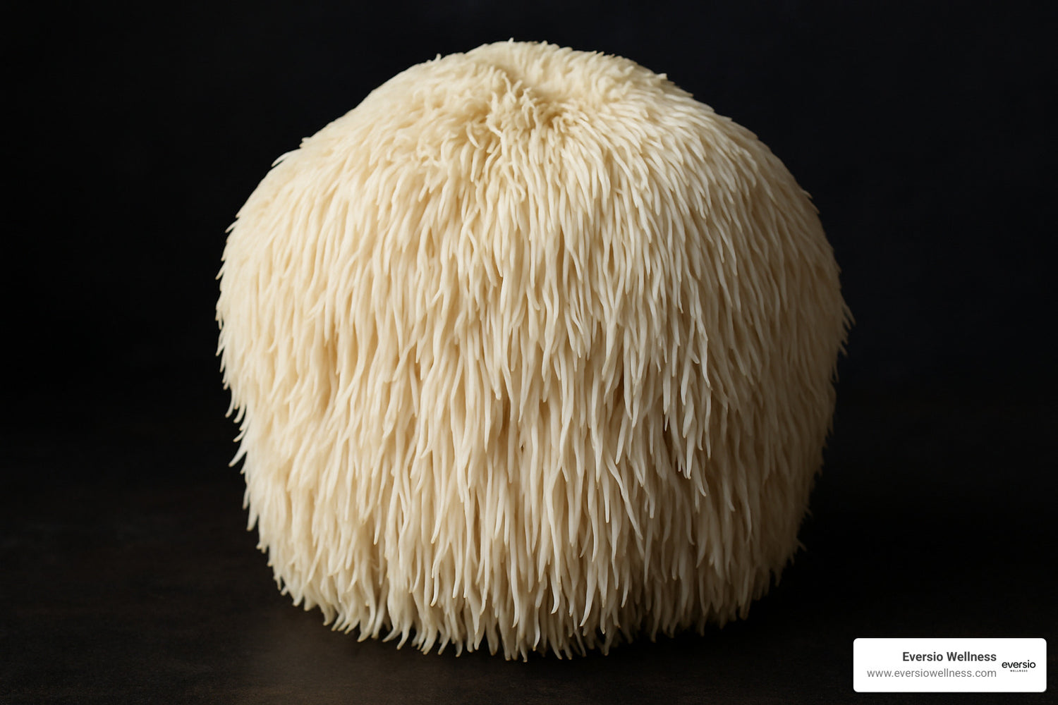 An Essential Guide to Adaptogenic Mushroom Benefits