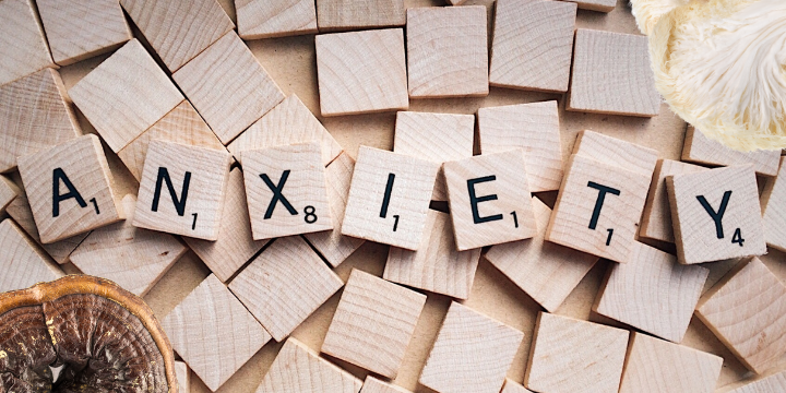 Medicinal Mushrooms for Anxiety