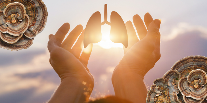 How to strengthen your lungs naturally with medicinal mushrooms