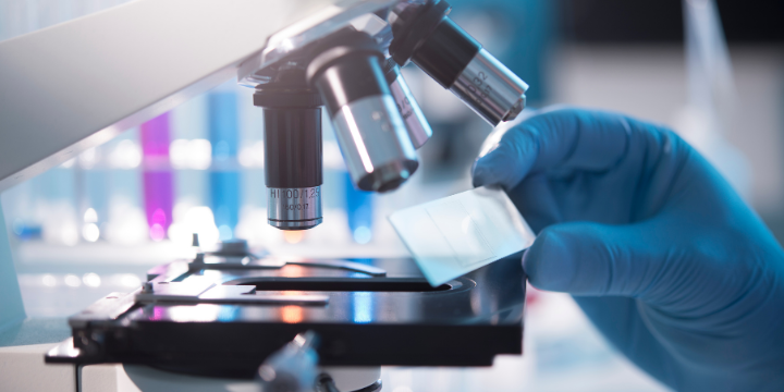 5 Reasons Lab Testing is Important for Mushroom Supplements