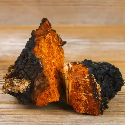 Beyond the Brew: Chaga's Incredible Benefits for Your Skin