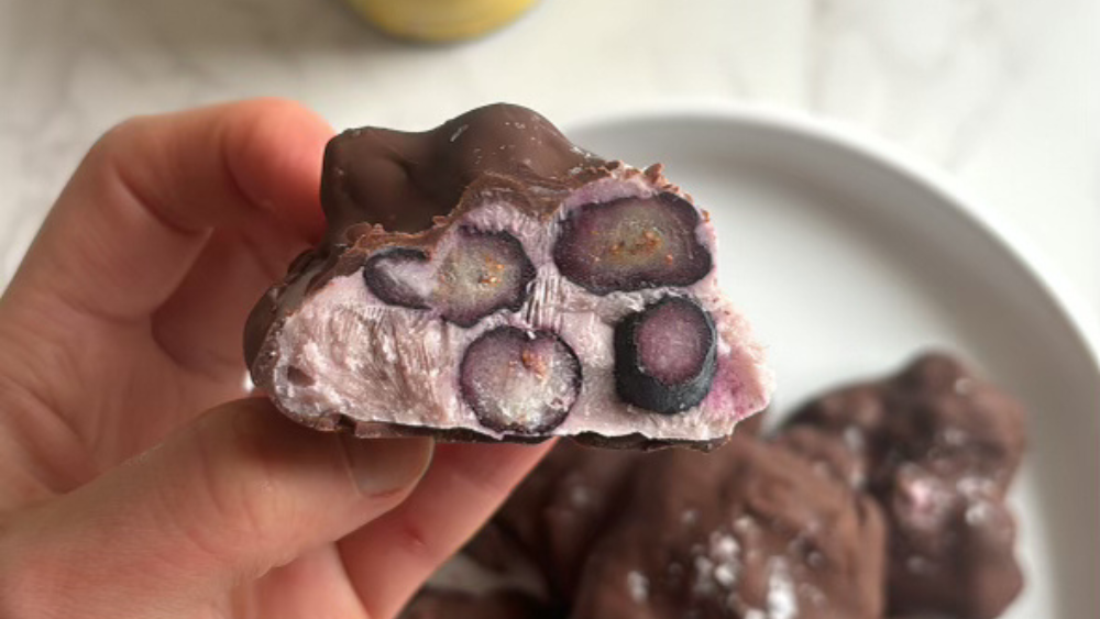 Chocolate Blueberry Yogurt Clusters ft. 3MB