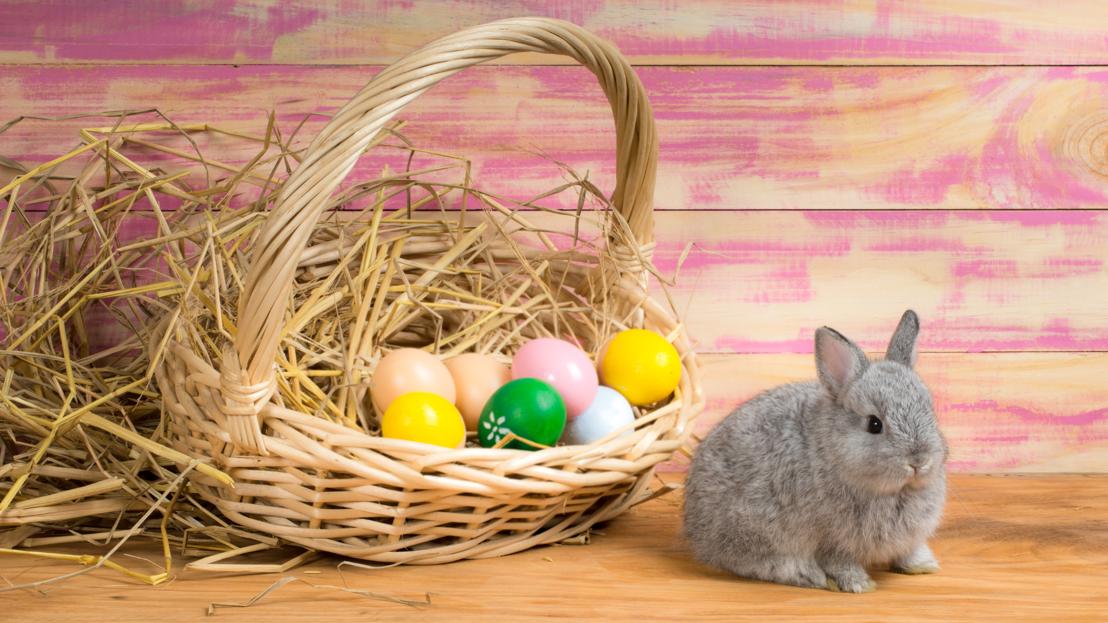 Easter Baskets with a Healing Touch: Medicinal Mushrooms