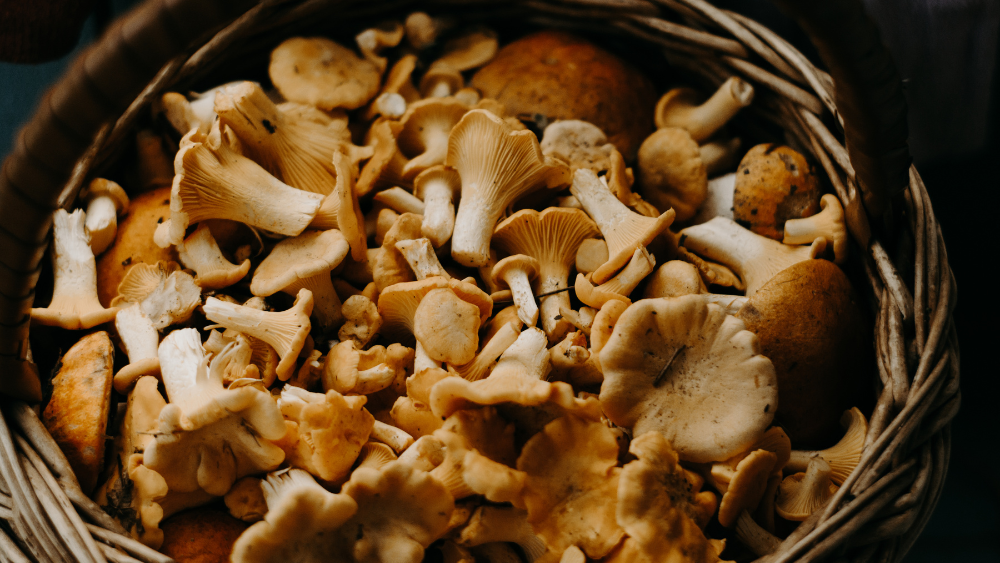 Elevating Your Christmas Feast with Functional Mushroom Recipes