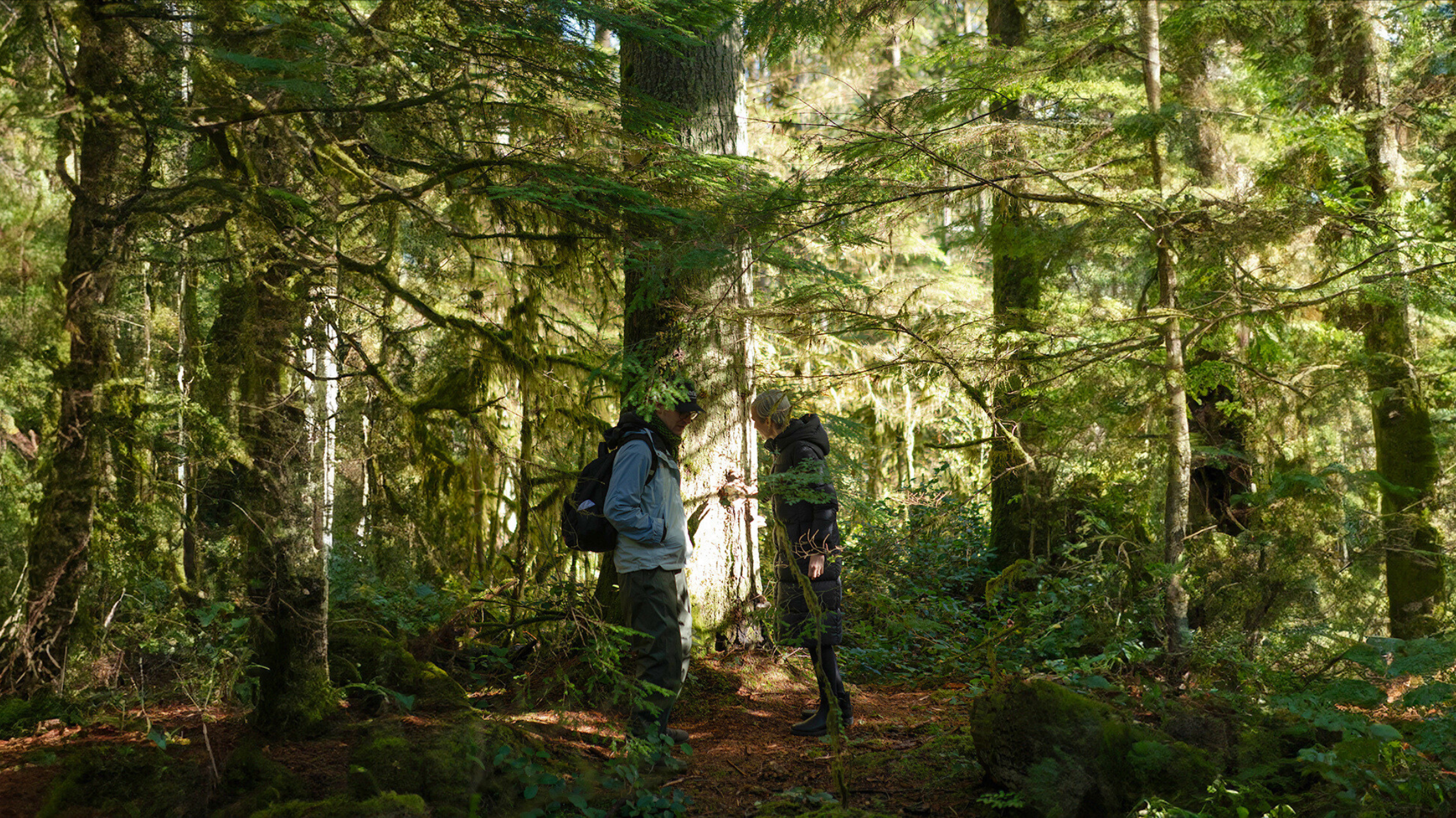 Family Day Fun: Mushroom Foraging in British Columbia