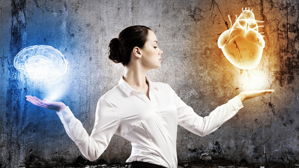 Functional Mushrooms and the Gut-Brain Connection What’s the Link