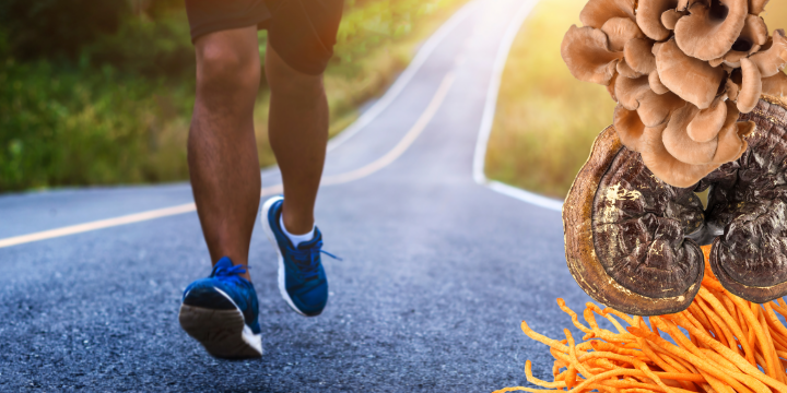 Mens Health and Medicinal Mushrooms