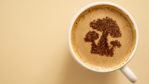 Mushroom Coffee: A Boost for Your Morning Routine