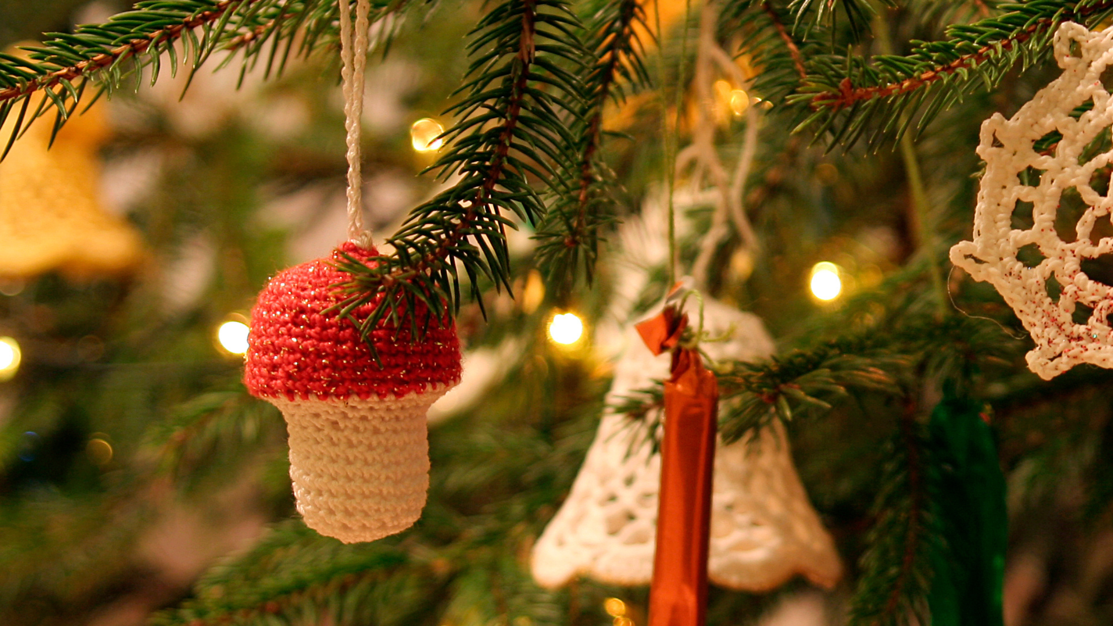 12 Days of Mushroom Christmas