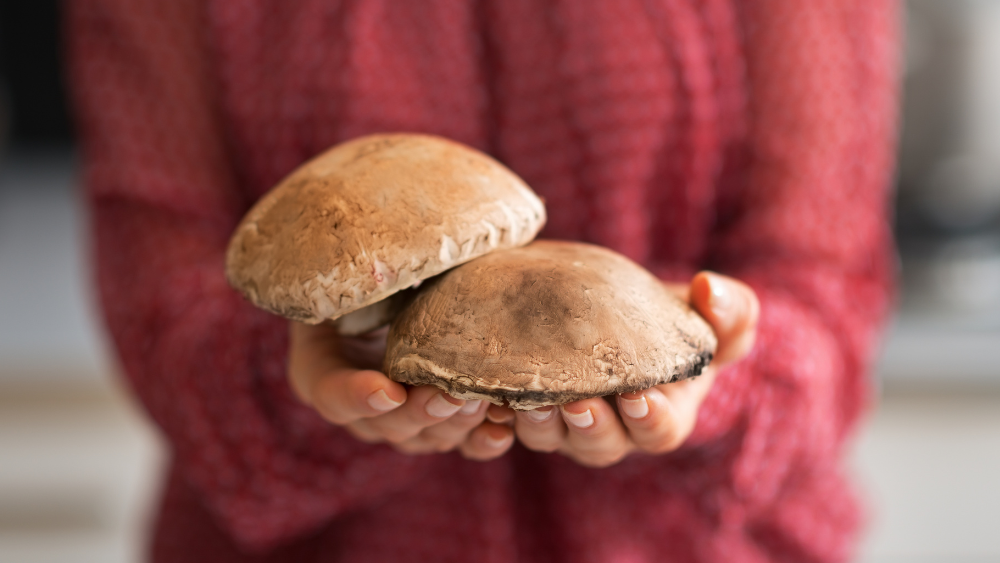 Mycelium or Fruiting Body: Which Mushroom Supplement Should You Choose?
