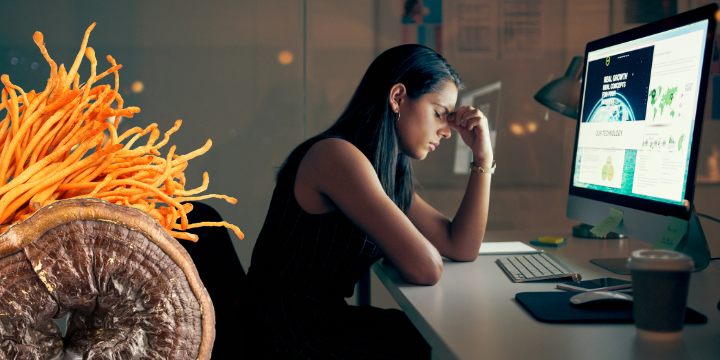 Recover from Burnout with Reishi and Cordyceps Mushrooms