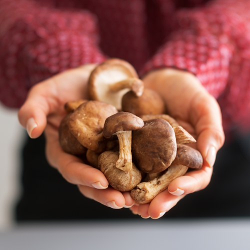 From Heart Health to Immunity: The Complete Guide to Shiitake Mushroom Benefits