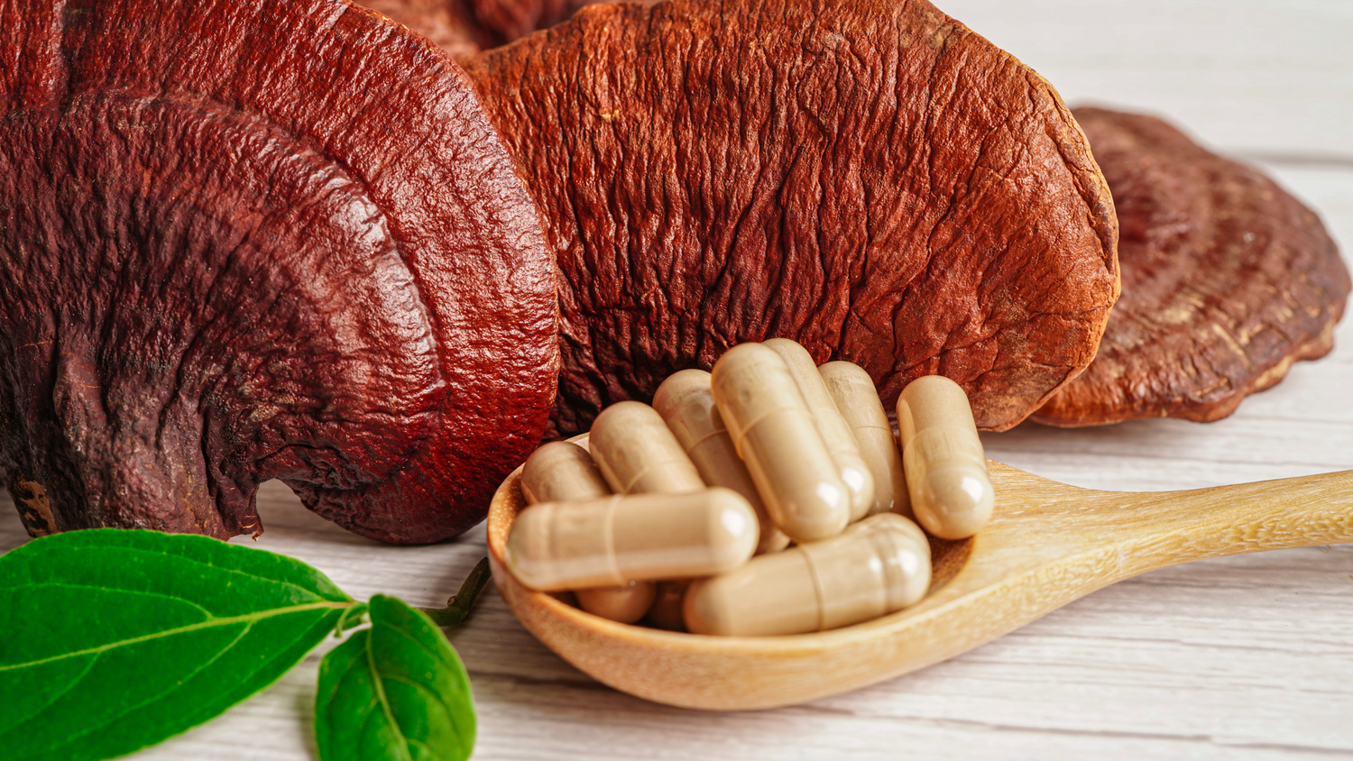 Eversio Wellness Organic 4 Mushroom Blend