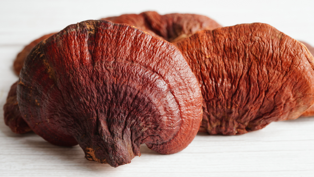 What Does Reishi Mushroom Do for The Brain?