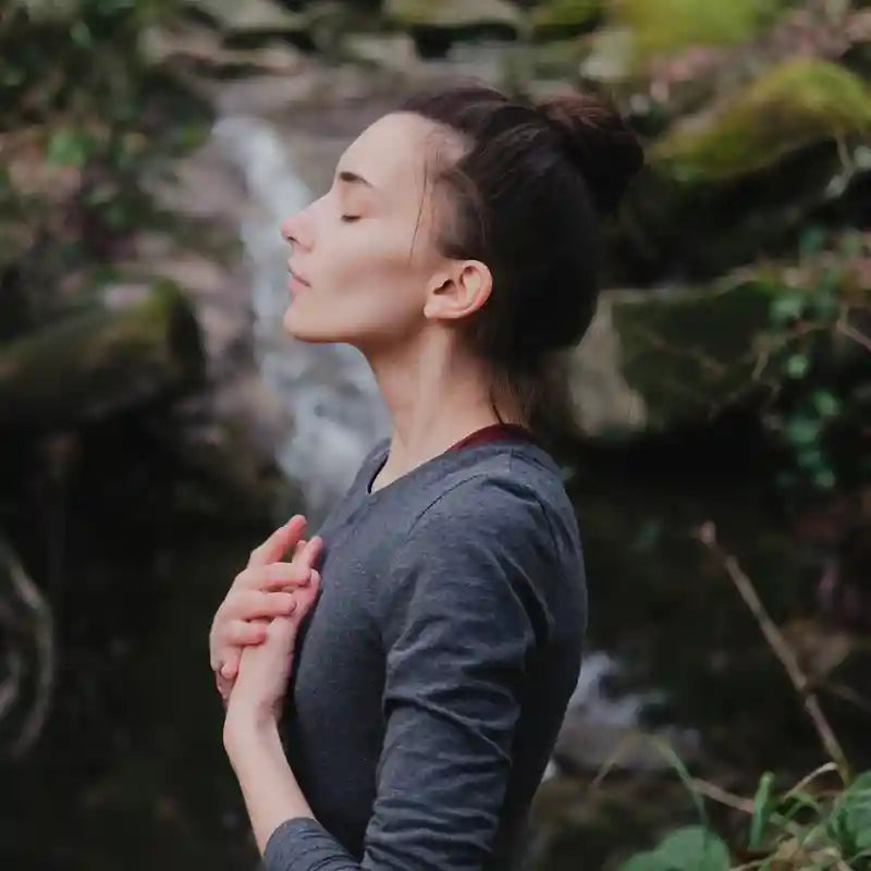 How Mushroom Extracts Can Improve Your Health: 5 Key Benefits