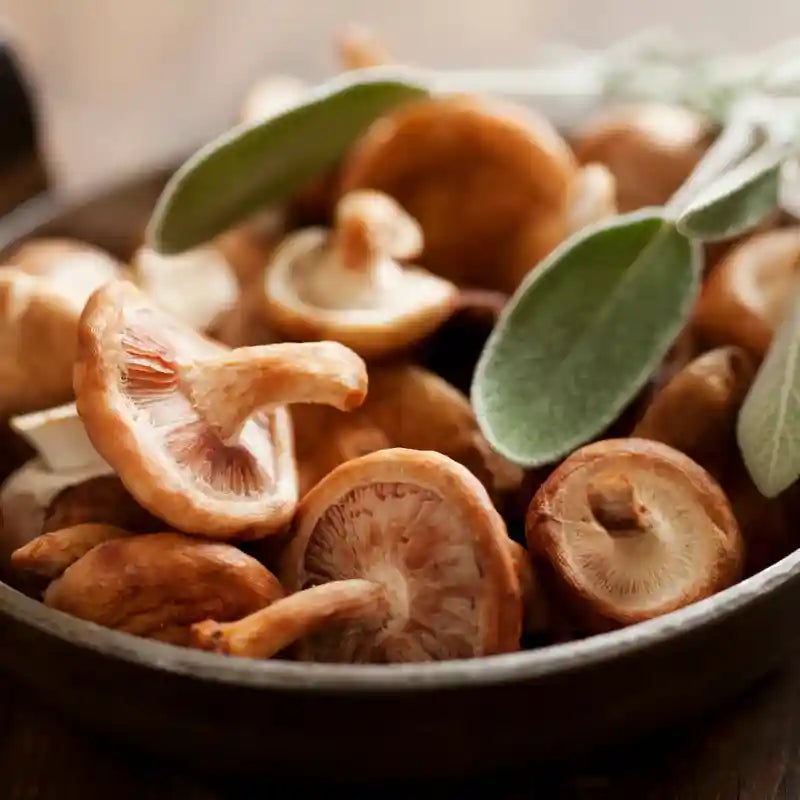 Mushrooms for the Mind: A Natural Boost for Clarity and Focus