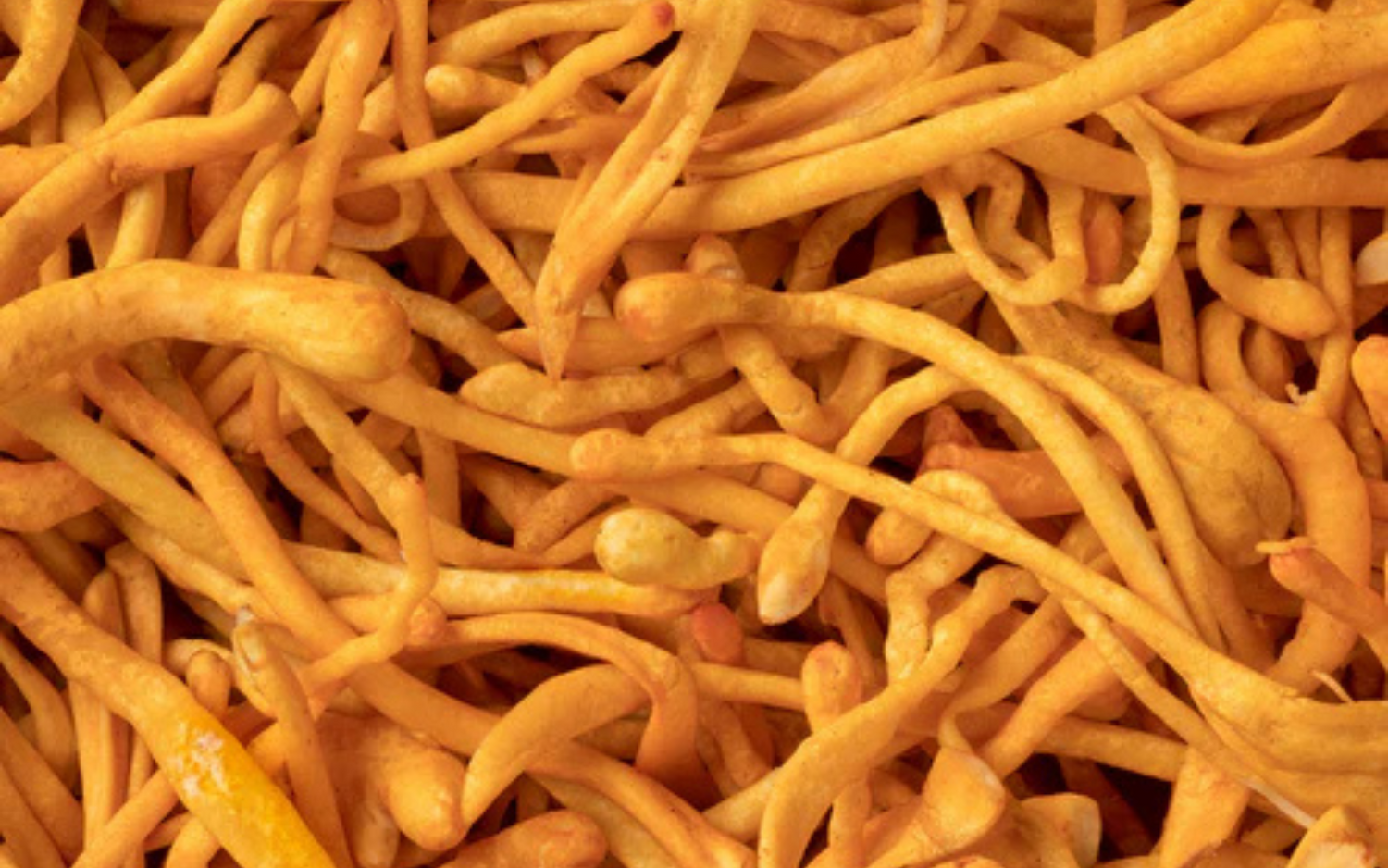 Simple Daily Rituals for Managing Stress & Anxiety