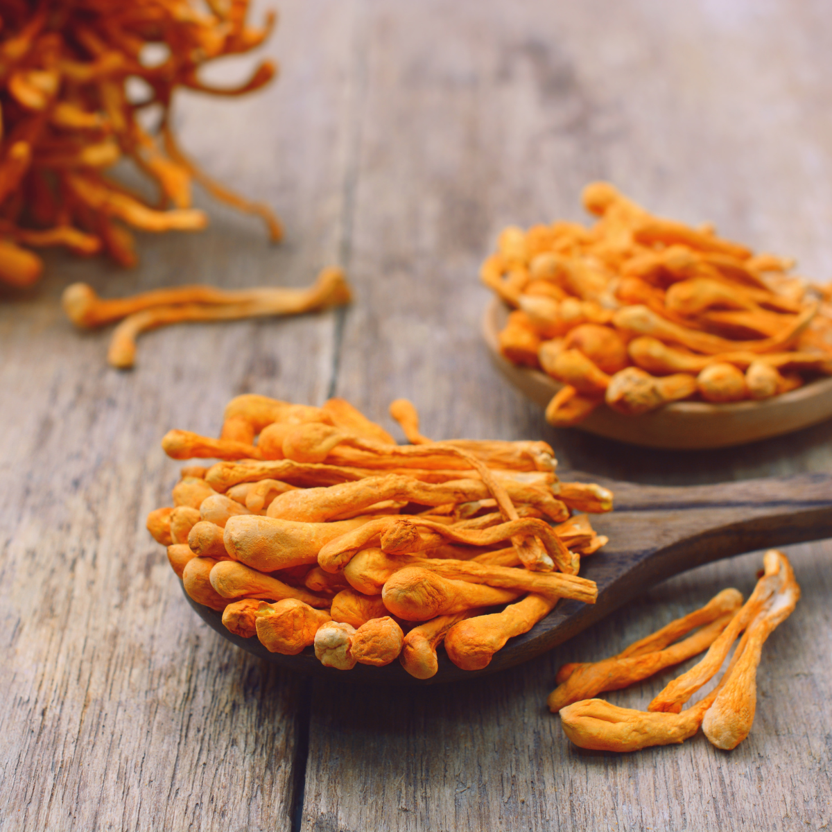 Empower Your Health: Cordyceps Benefits for Women