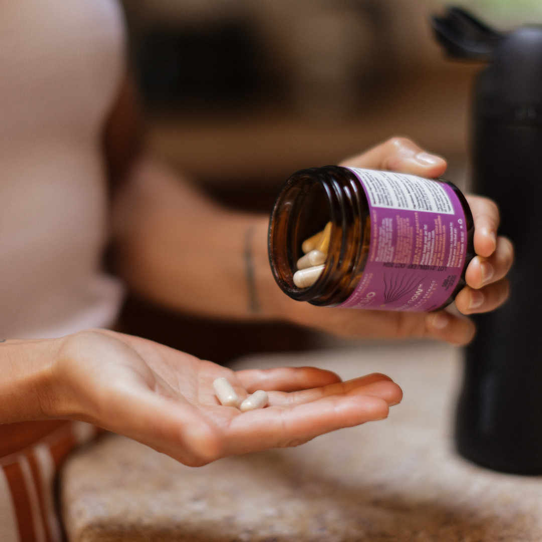 Fuel Your Energy: A Roundup of Mushroom Capsules