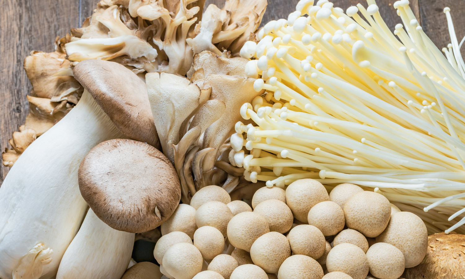 Detailed Guide to the Best Adaptogenic Mushrooms for Anxiety