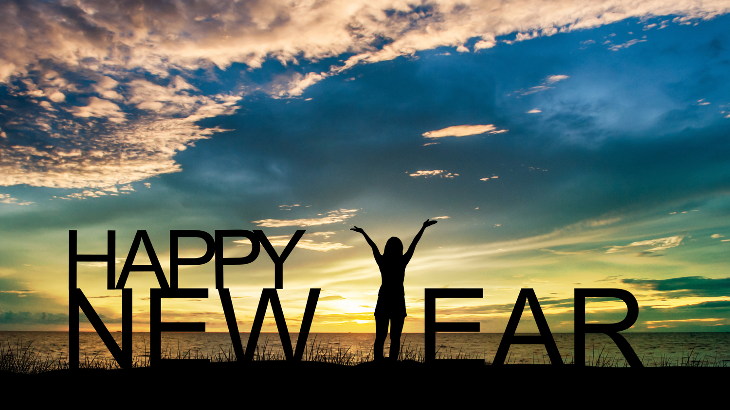 Make Mushroom Supplements Part of Your Wellness Routine