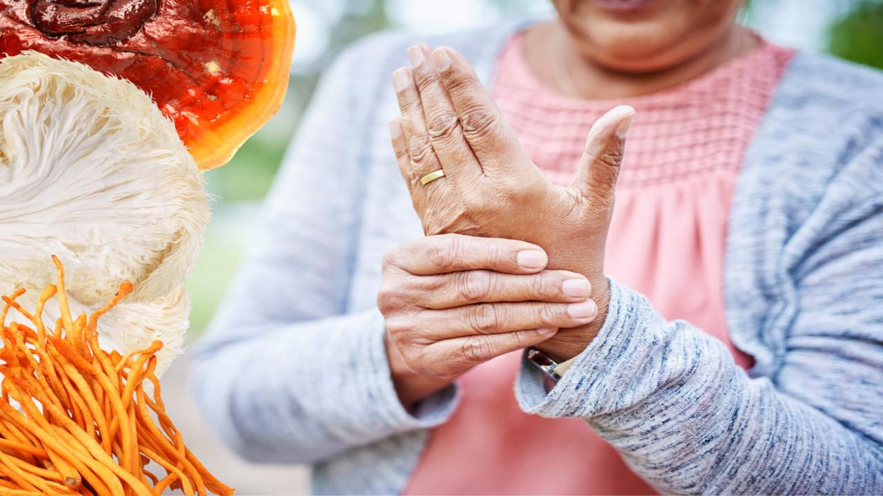Medicinal Mushrooms Supplements for Arthritis