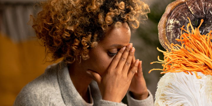 medicinal mushrooms for depression