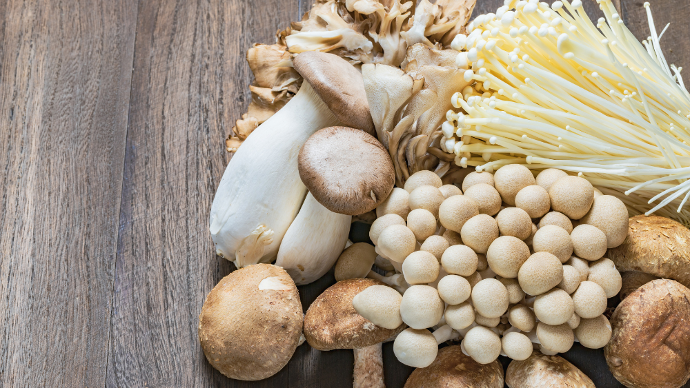 Digestive Harmony: Mushrooms for a Healthier Gut