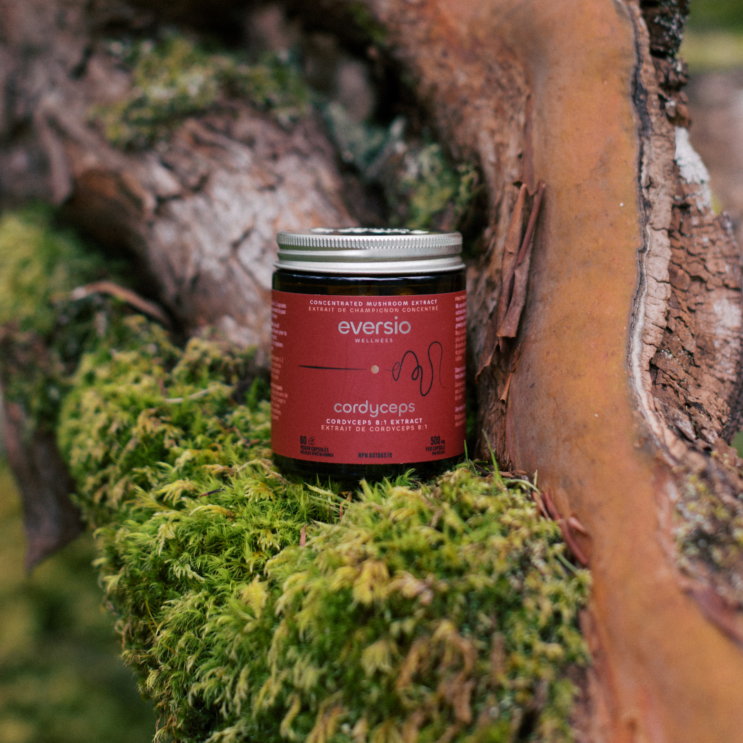 Cordyceps - Organic Cordyceps 8:1 Extract Capsules