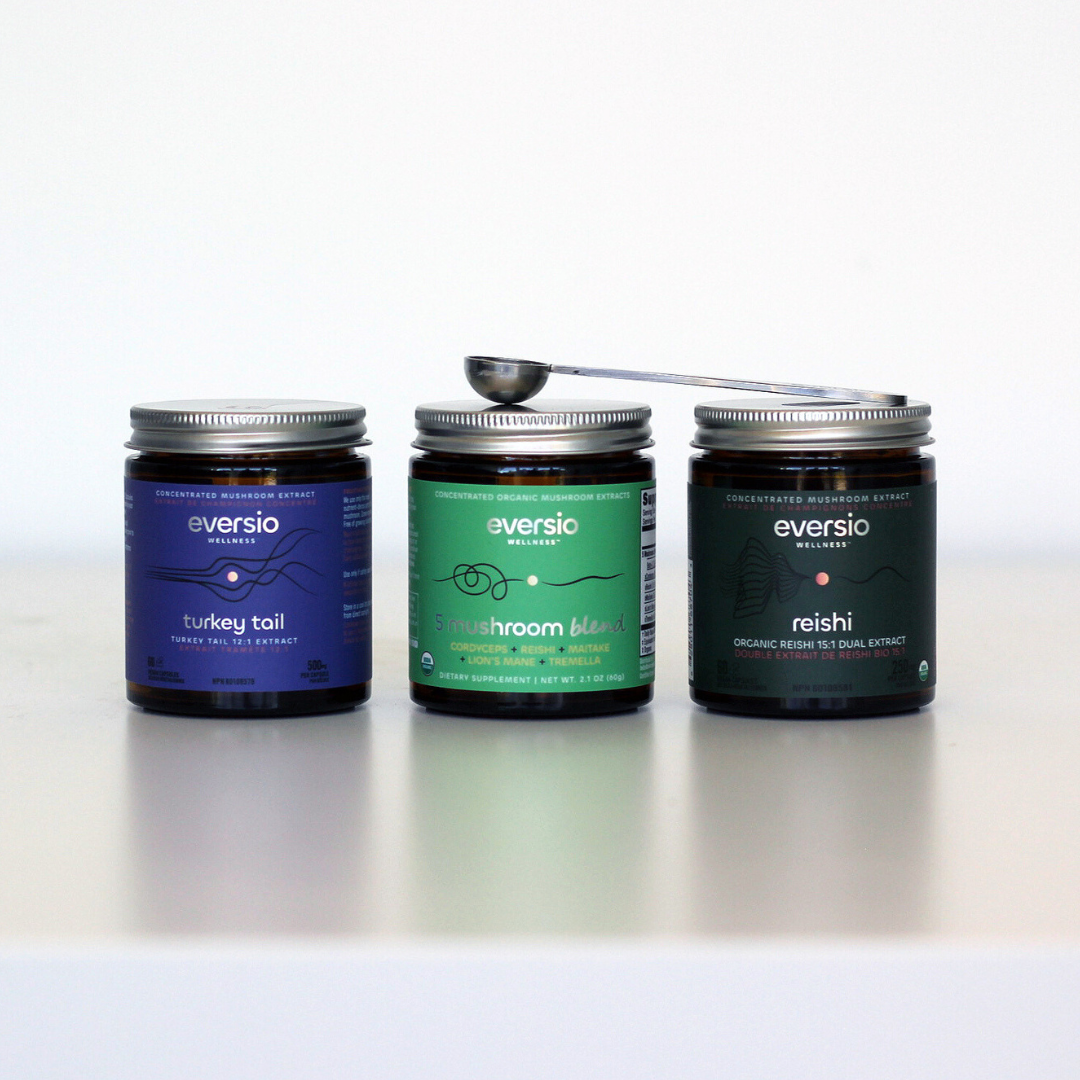 The Rejuvenate Set - A Gift of Mushroom Wellness