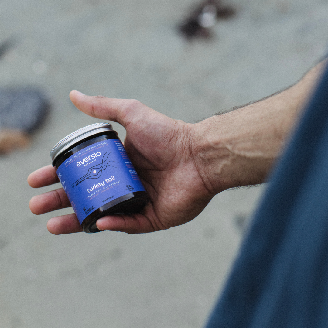 The Rejuvenate Set - A Gift of Mushroom Wellness