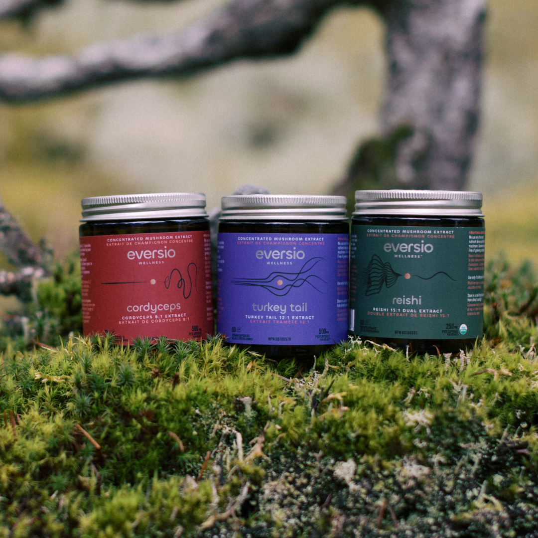 The Adaptogen Set - A Gift of Mushroom Wellness