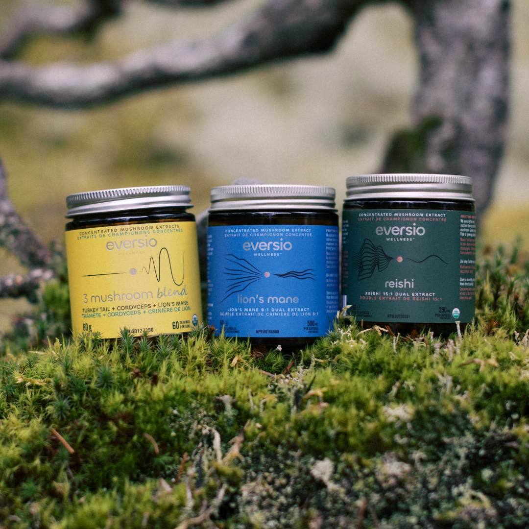 The Starter Set - A Gift of Mushroom Wellness