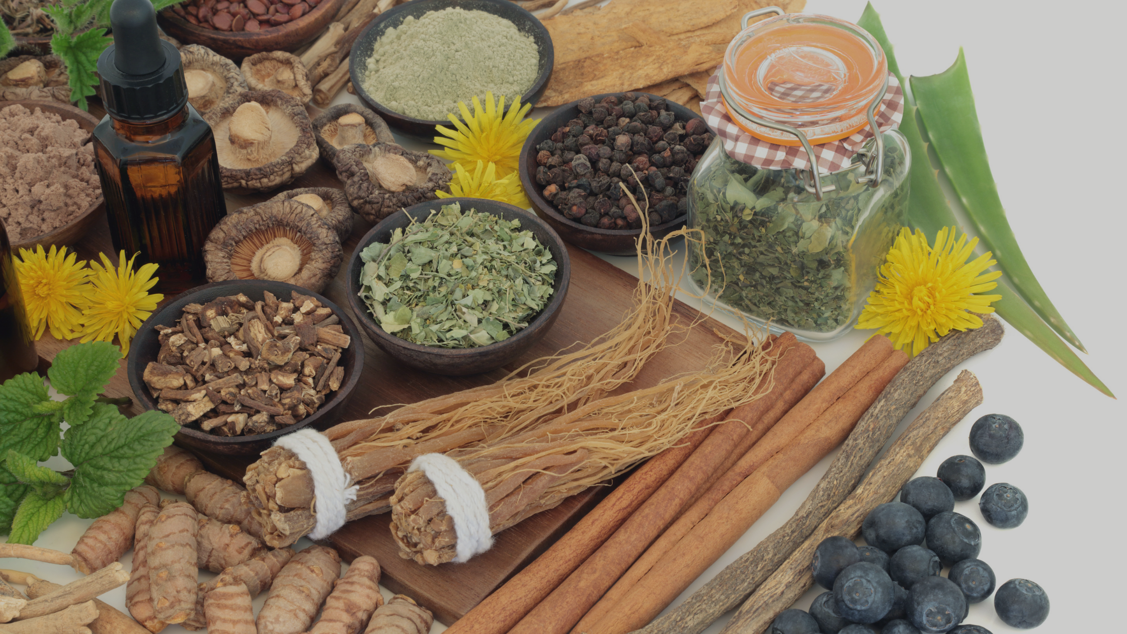 Our Favourite Adaptogens