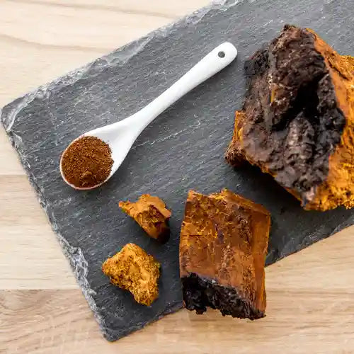 Sip Your Way to Health The Chaga Tea Advantage