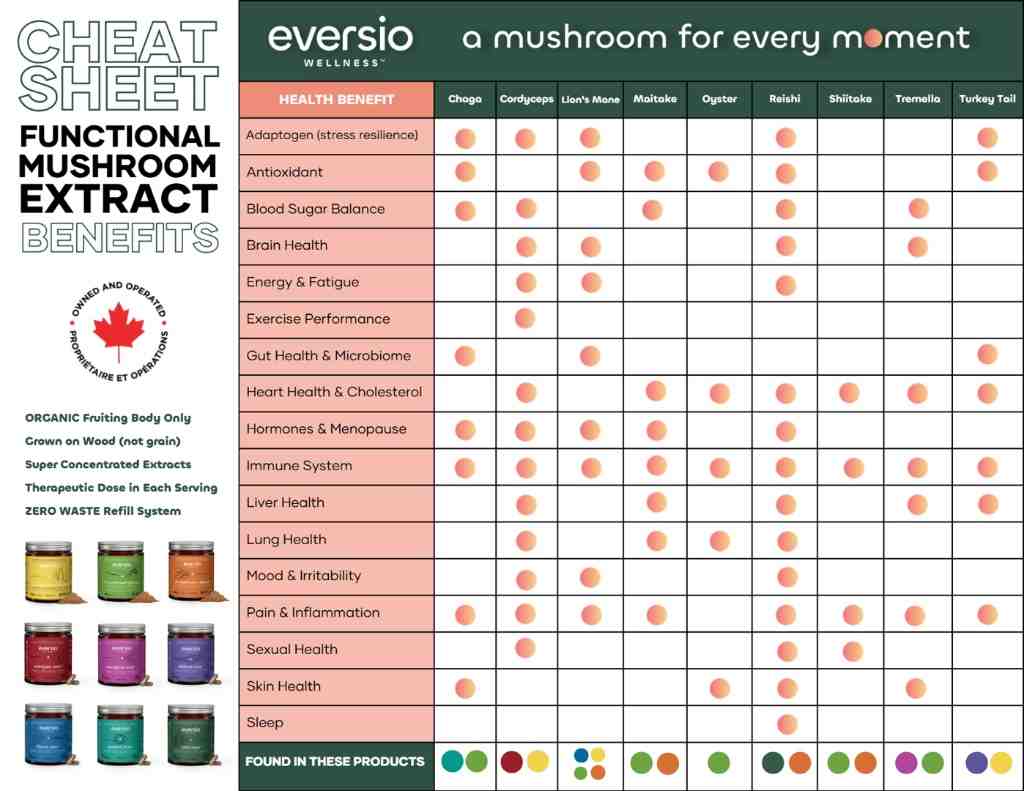 The Magic of Mushrooms: Understanding Adaptogens for Wellness