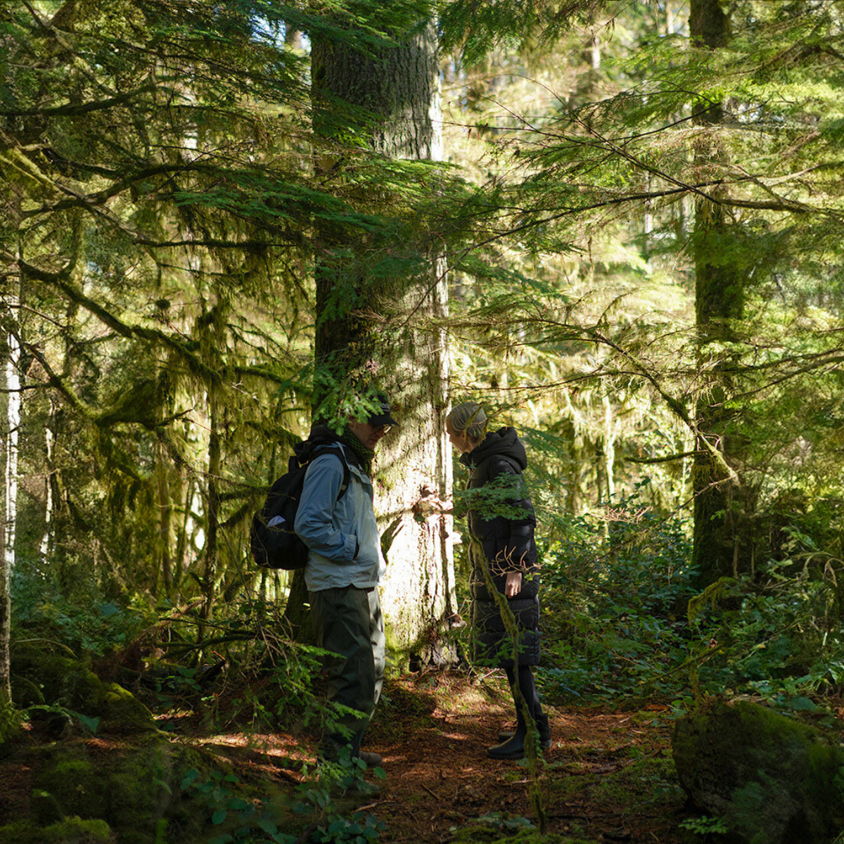 Exploring Local Biodiversity Together