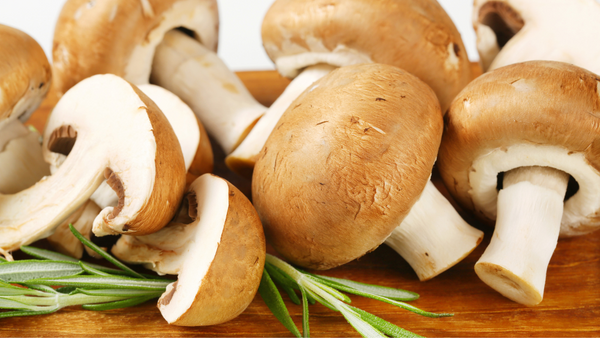 Explore Cremini Mushrooms: Everything You Need to Know