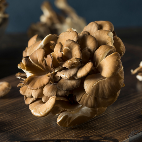 Maitake Mushrooms for Cancer: How This Superfood Boosts Immunity and Fights Cancer
