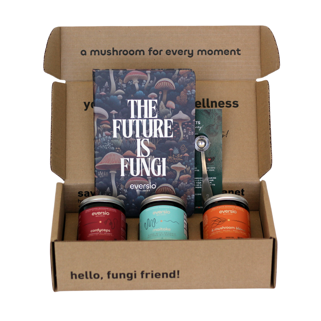 The Balance Set - A Gift of Mushroom Wellness