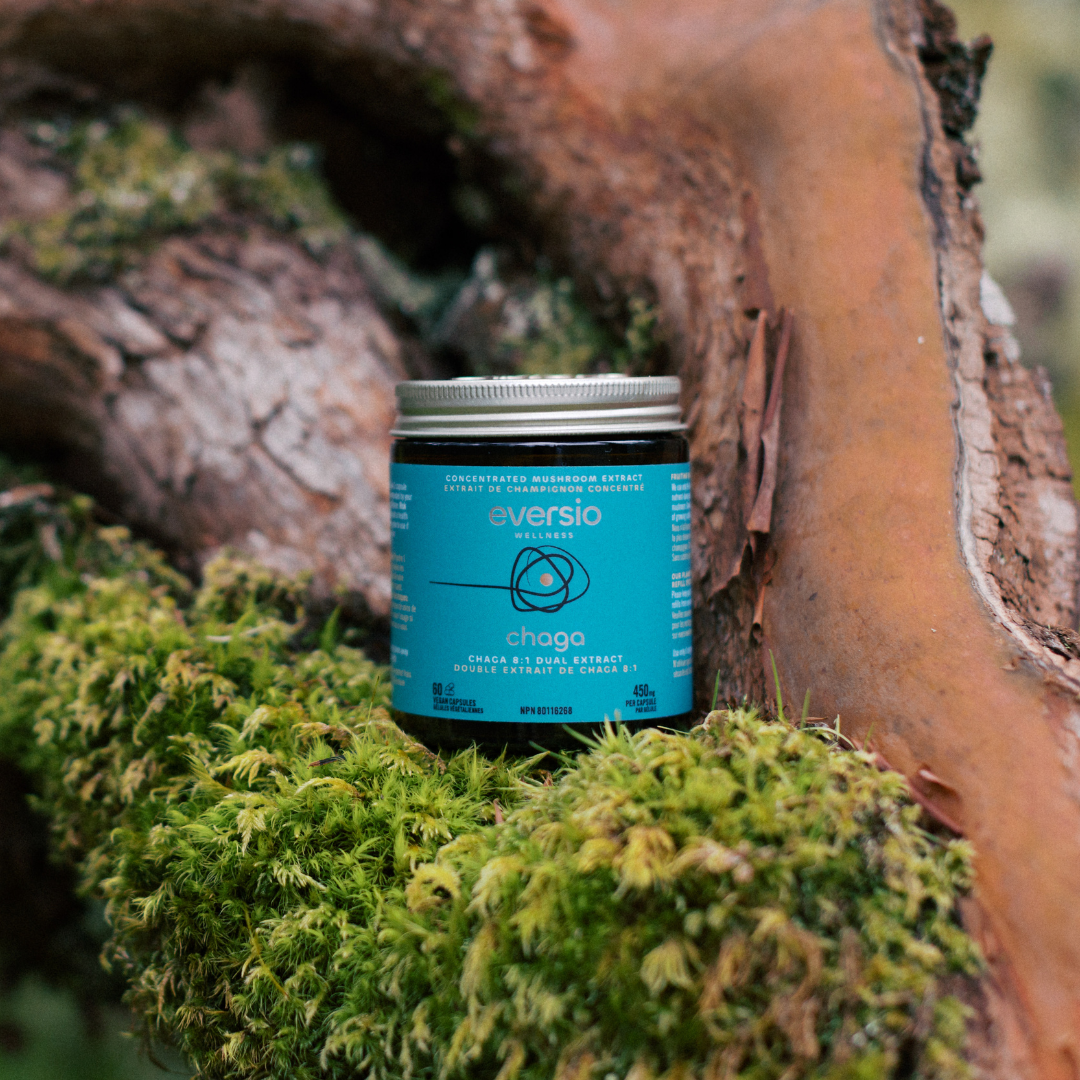 Chaga - Organic Chaga 8:1 Dual Extract Capsules