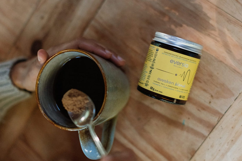 Powdered Mushroom & Extract Supplements Eversio Wellness