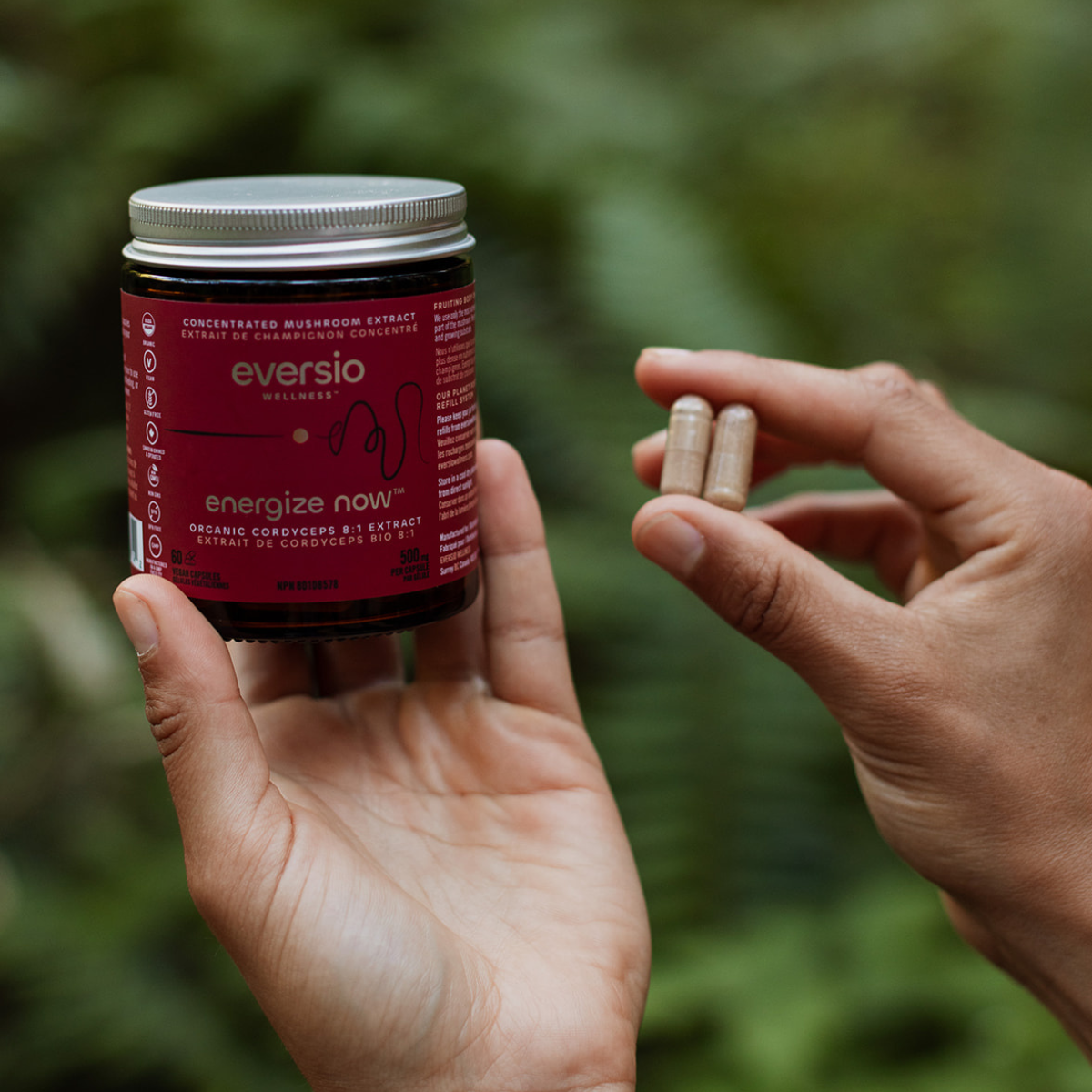 mushroom capsules in hands