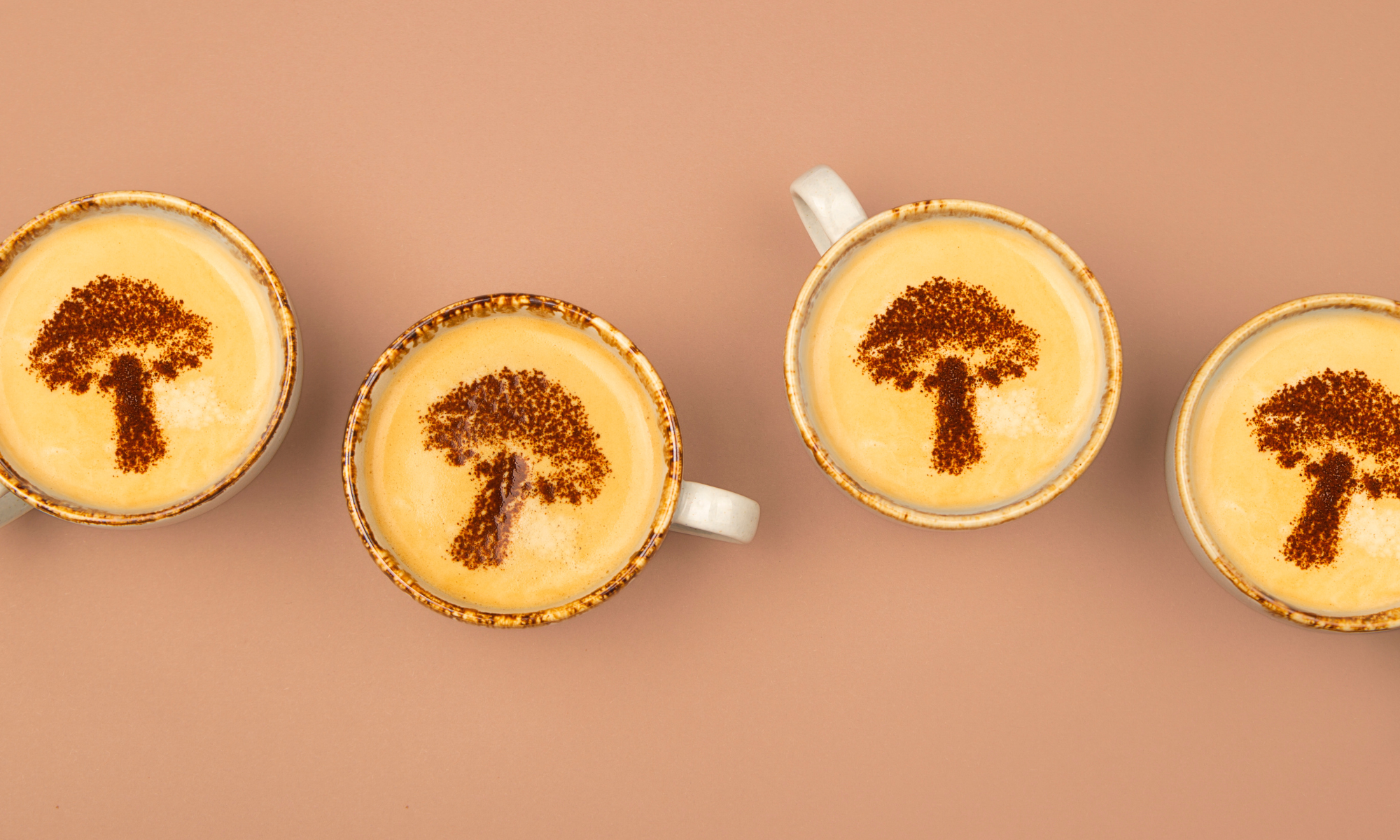 coffee with milk and mushroom extracts