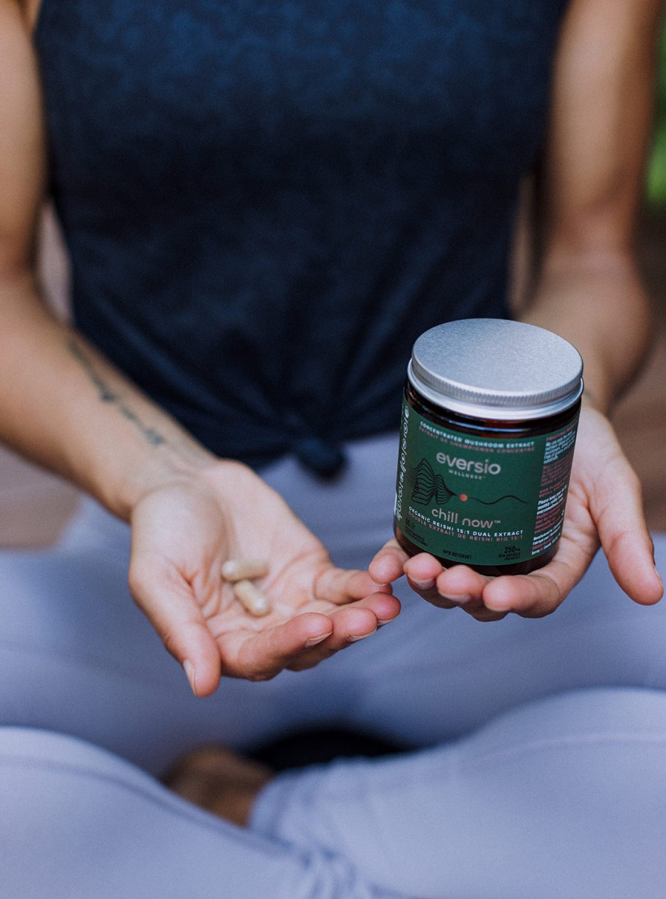 rieshi mushroom supplements