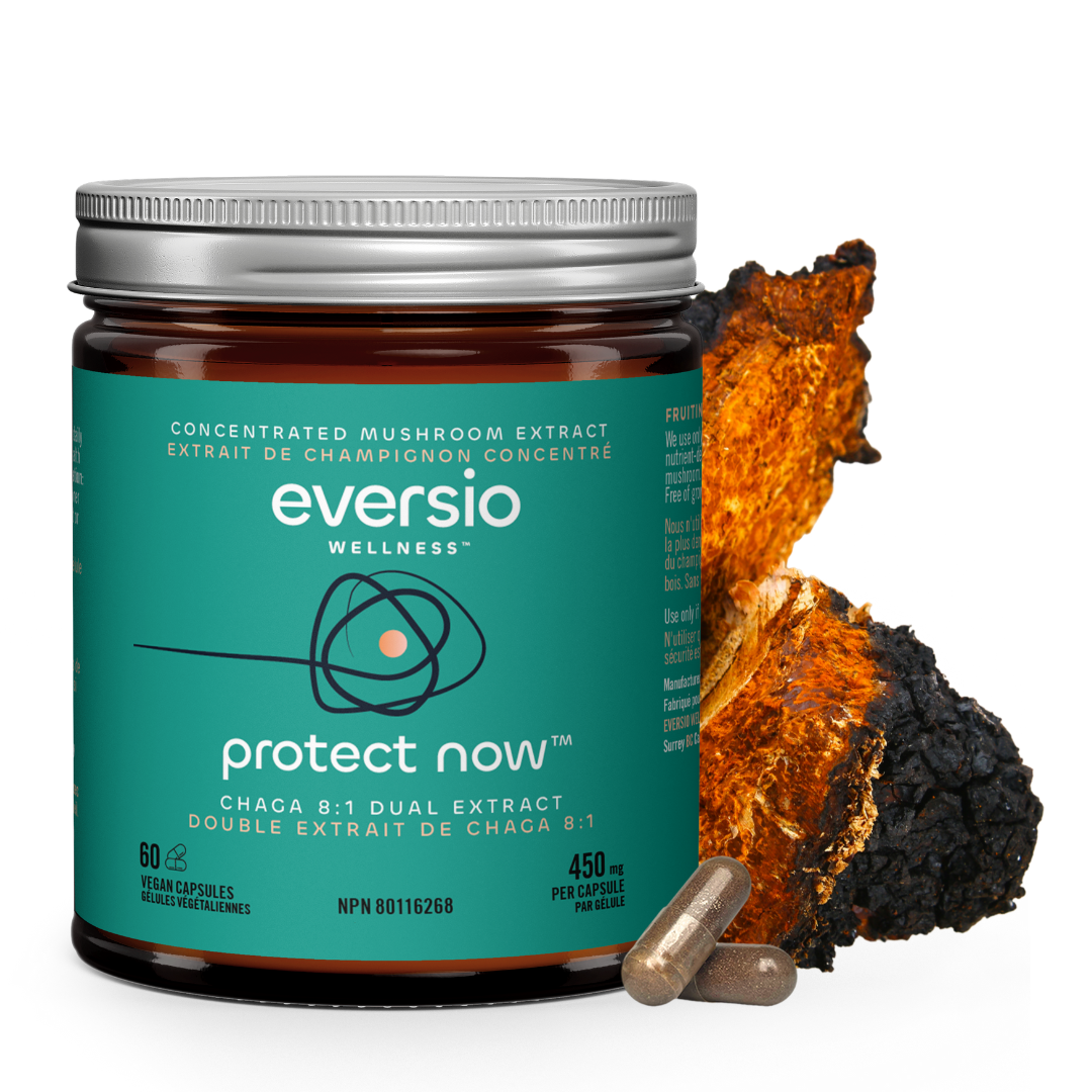 organic-mushroom-extracts-rich-in-antioxidants-eversio-wellness
