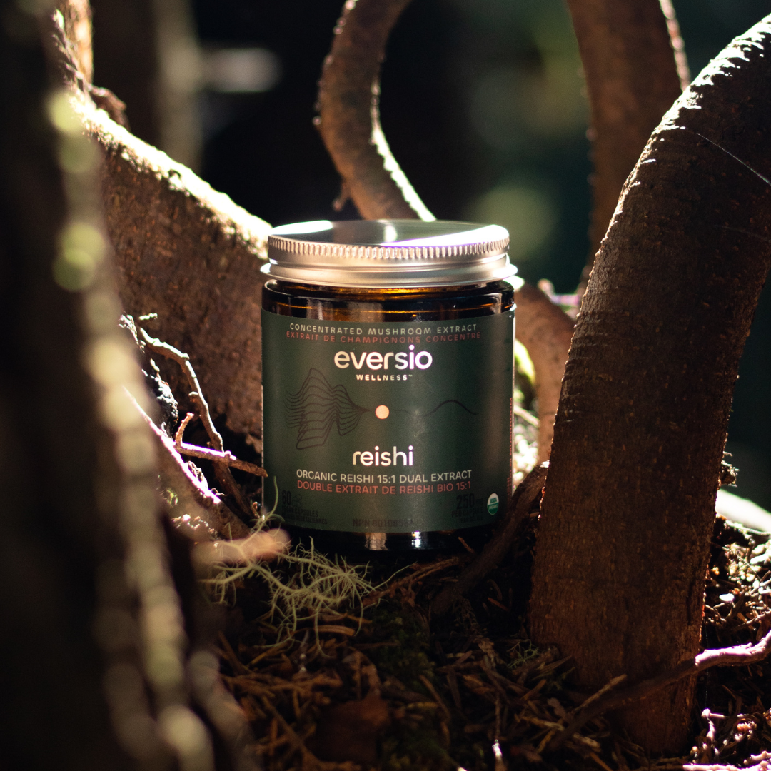 Reishi Mushroom Supplement
