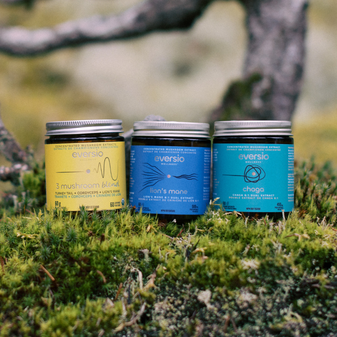 The Awaken Set - A Gift of Mushroom Wellness
