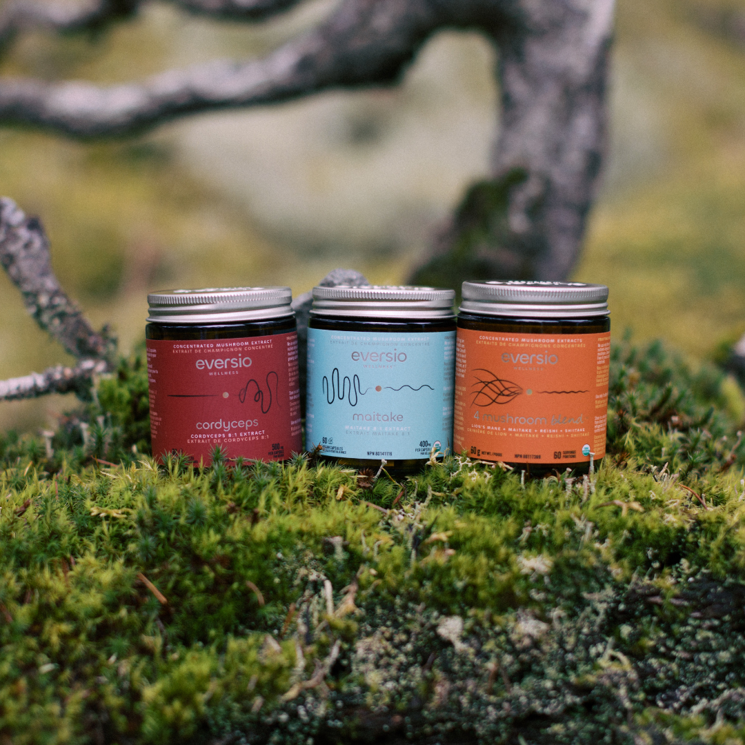 The Balance Set - A Gift of Mushroom Wellness