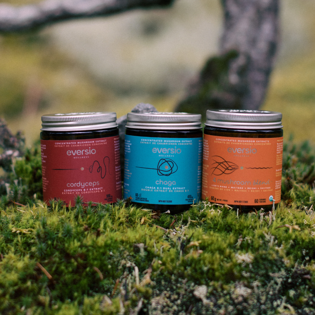 The Go-Getter Set - A Gift of Mushroom Wellness